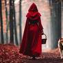 Sexy Little Red Riding Hood Nsfw