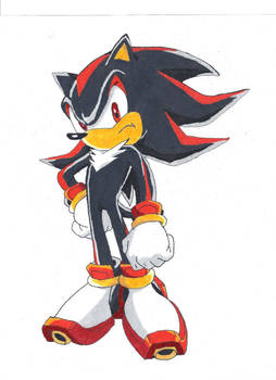 Shadow the Hedgehog