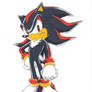 Shadow the Hedgehog