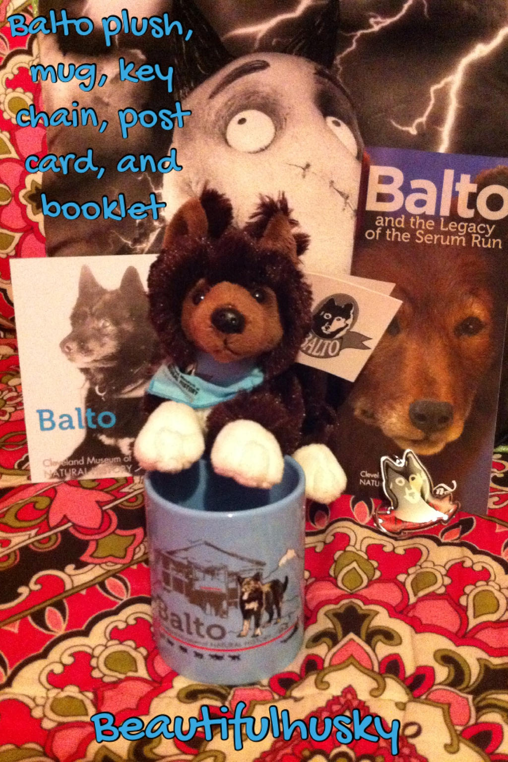 Balto Plush From Cleveland Museum! by BeautifulHusky on DeviantArt
