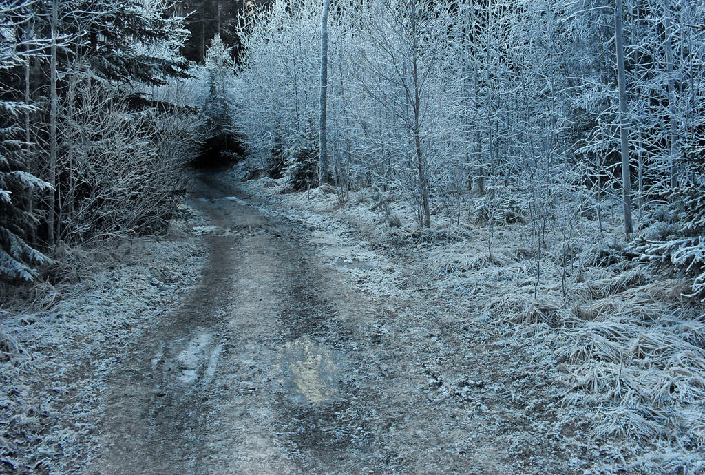Cold Ttrailing Cold trail by breatheinspiration on DeviantArt