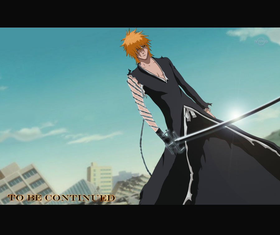 Bleach 417 TV Edition