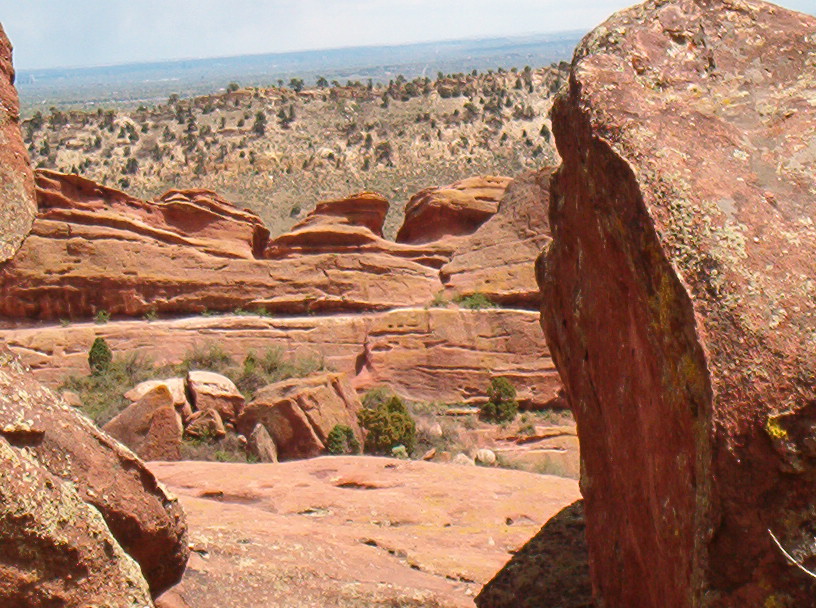 Bleeding Rocks