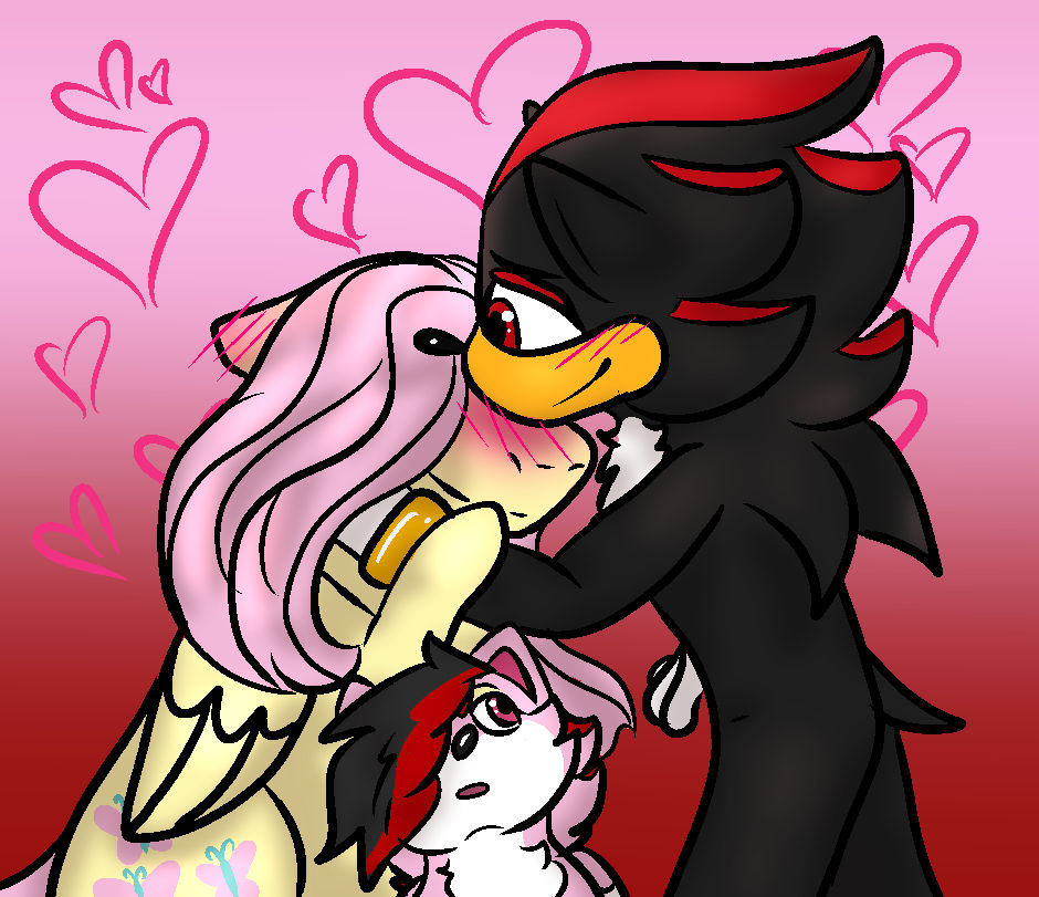 Shadow x SNT Ship Kid by FanGirlStephie on DeviantArt