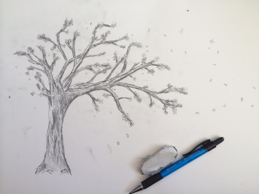 Как нарисовать дерево сакуры. Дерево карандашом. Рисование деревьев карандашом. Дерево рисунок карандашом. Рисунок дерева для срисовки.