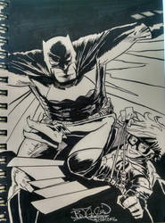 Dark Knight Returns Batman and Robin