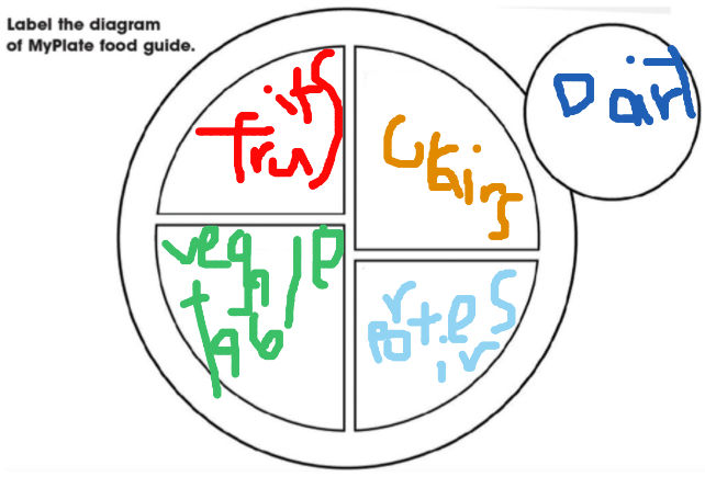 Myplate Project Example My Example of myPlate Activity Sheet by 1MORSGORS on DeviantArt