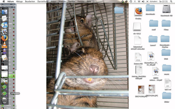 degu desktop