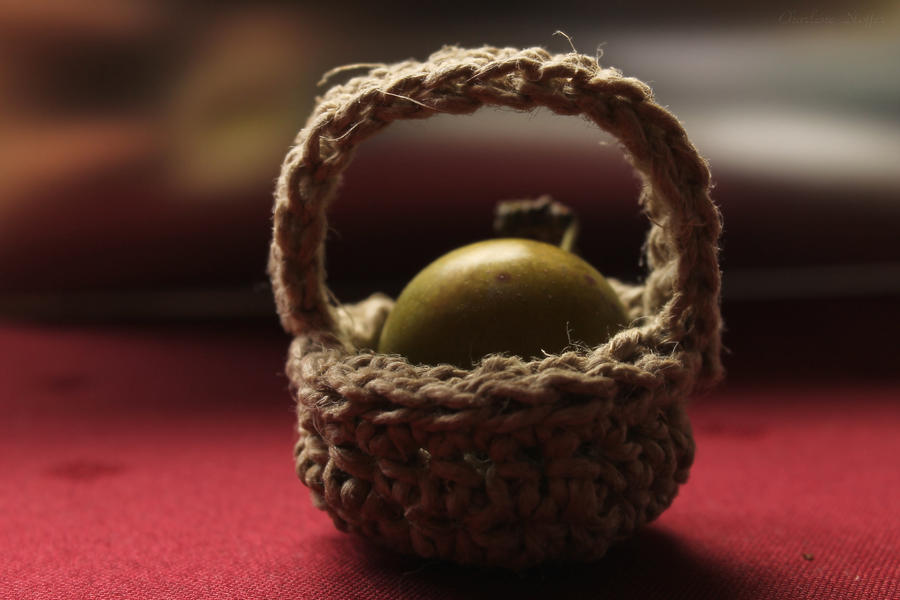 Greengage in a basket