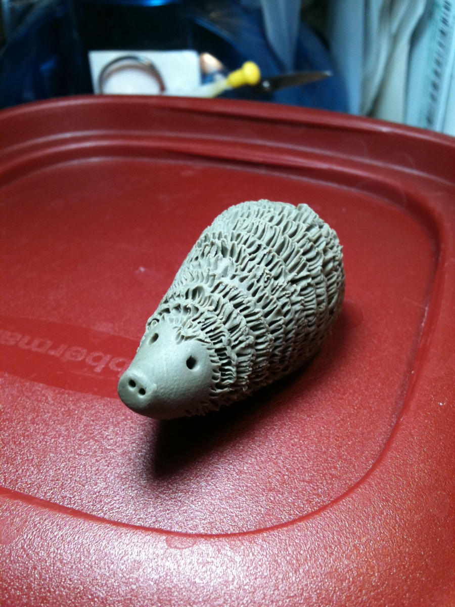 Cute Hedgehog