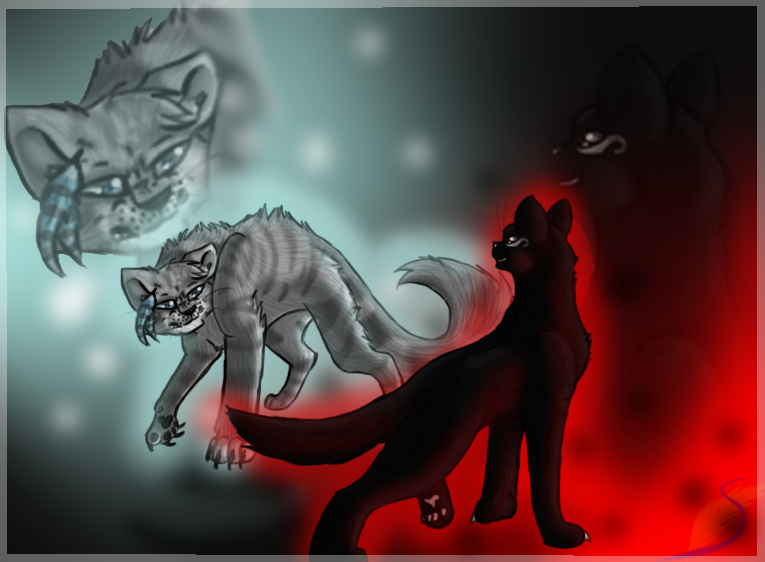 Jayfeather vs. Breezepelt