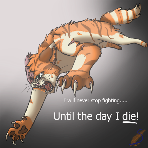 Brightheart never gives up