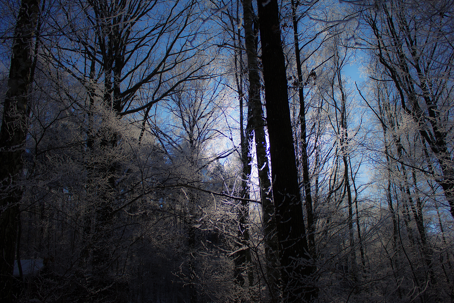 Cold Fairy Lights