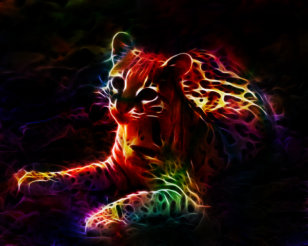 Fractal Ocelot 2