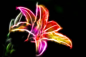 Fractal Tiger Lily