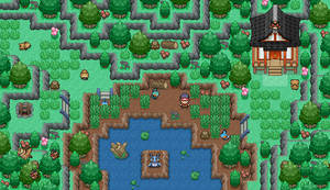 Swampert's Swamp