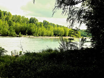 Panaro River