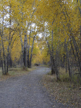 Autumn Trails 053