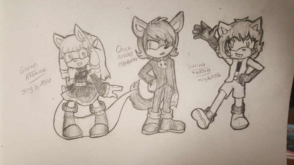 Sonic ocs