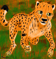 old cheetah drawing and it is not Colu