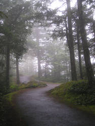 Olympic National Park