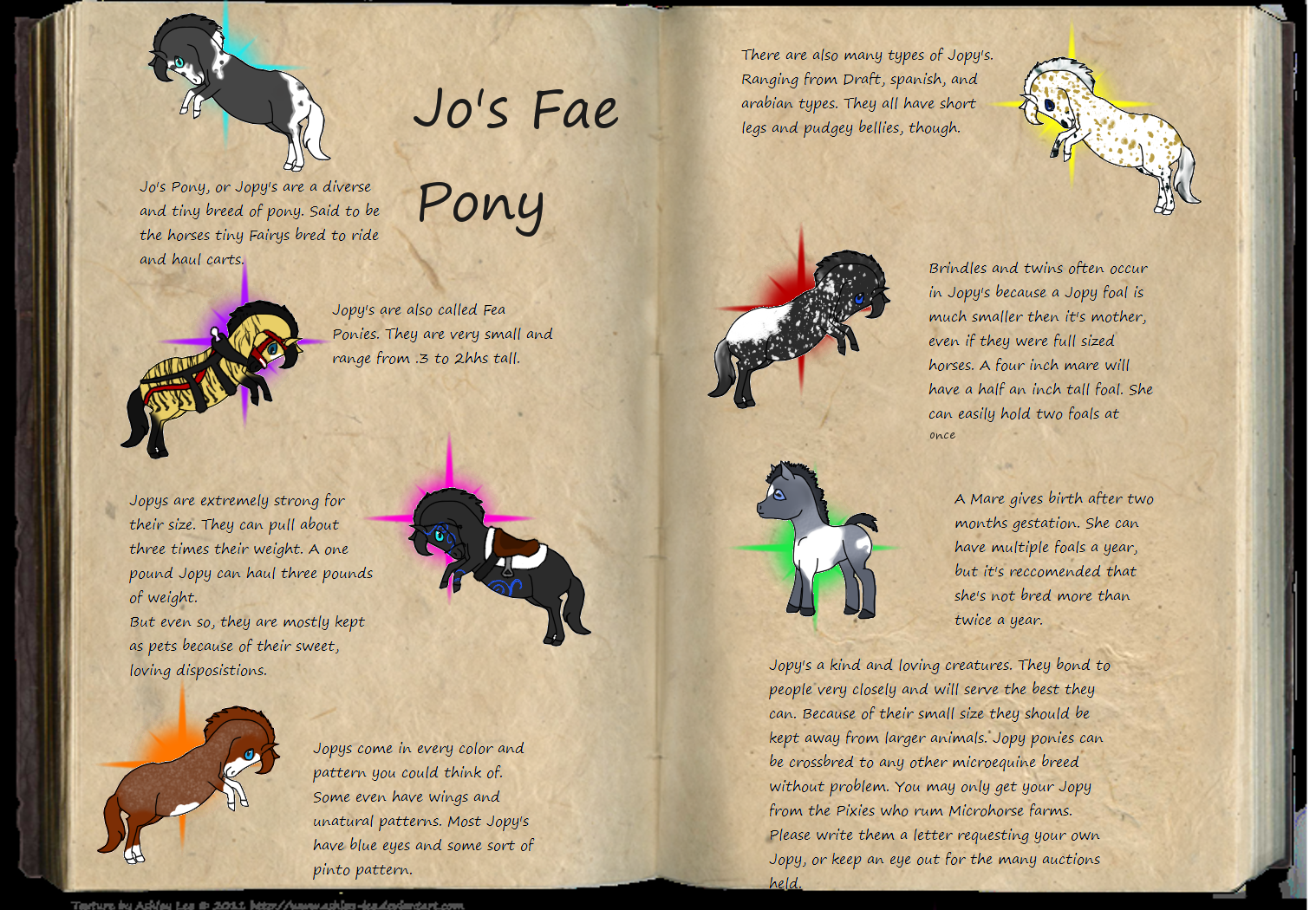 The Jopy, or Fae pony