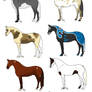 Draw to adopt horses (WITH GENETICS )
