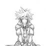 +Sora of Destiny+