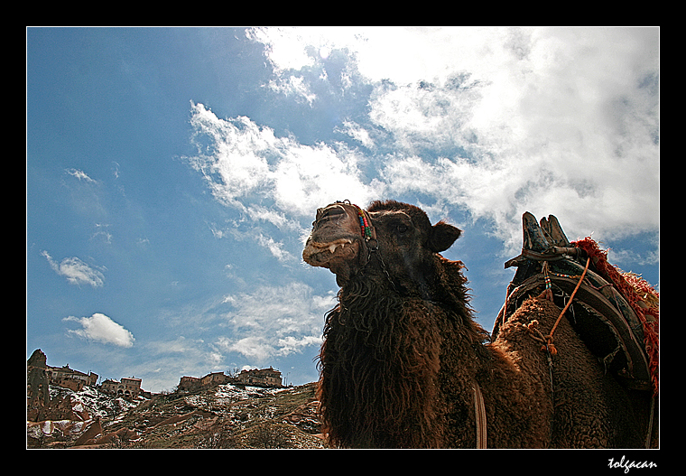 cappadocian