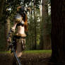 Skyrim Cosplay