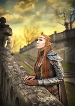The Elder Scrolls Online cosplay