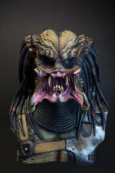 Predator Bust