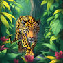 In a lush South American rainforest is a jaguar ro