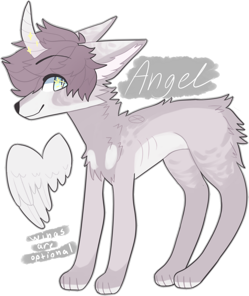 Angel reference sheet by yudevils on DeviantArt