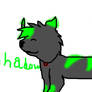 Shadow the wolf