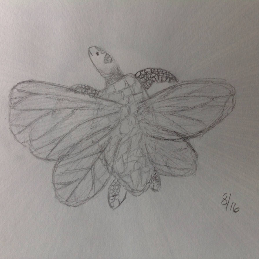 Fae turtle by phoenixblade98 on DeviantArt