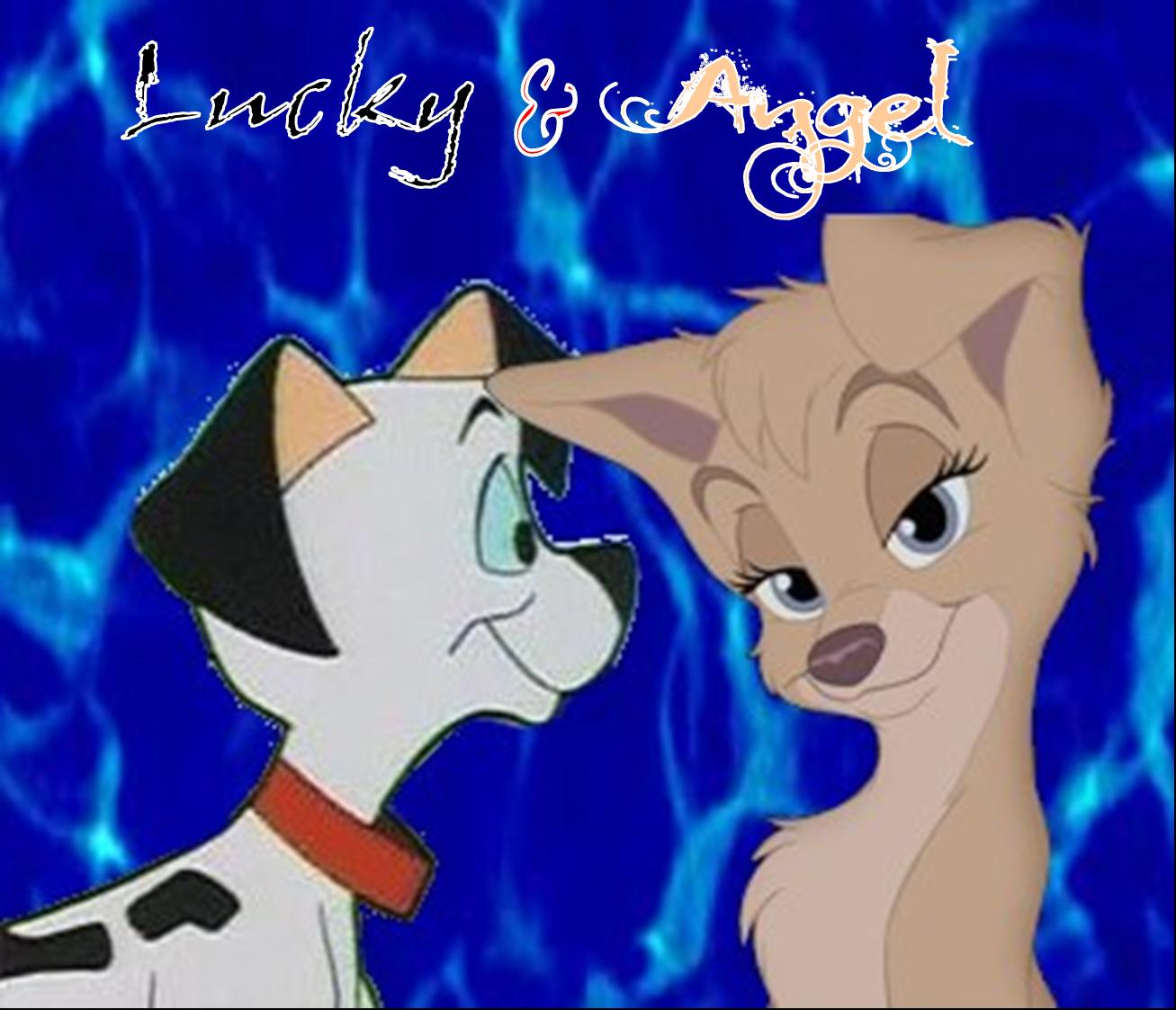 Lucky + Angel