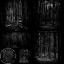 Black-metal-forests-cover-album-cd-artwork-design-