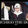 Ichigo the dog.