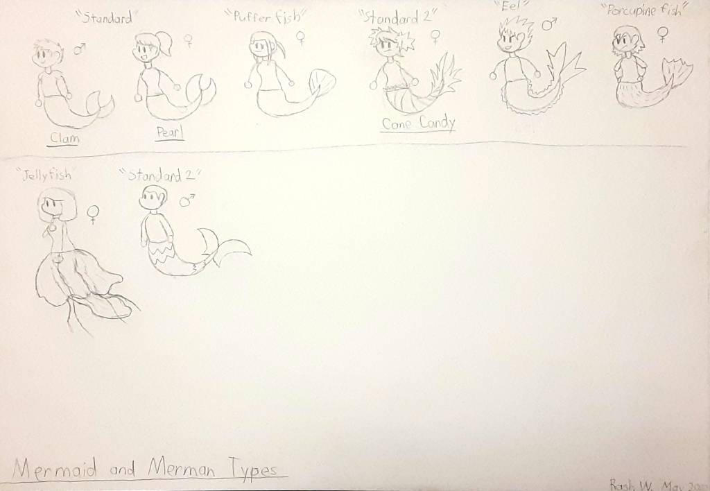 Merman Structure Mermaid and Merman Types by BluStarDogger on DeviantArt