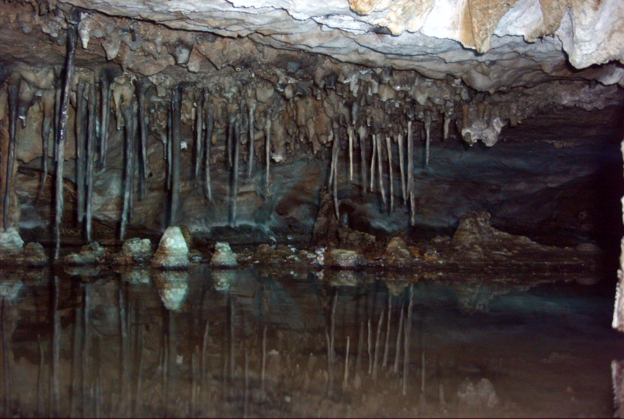 The Dreamer's Pool