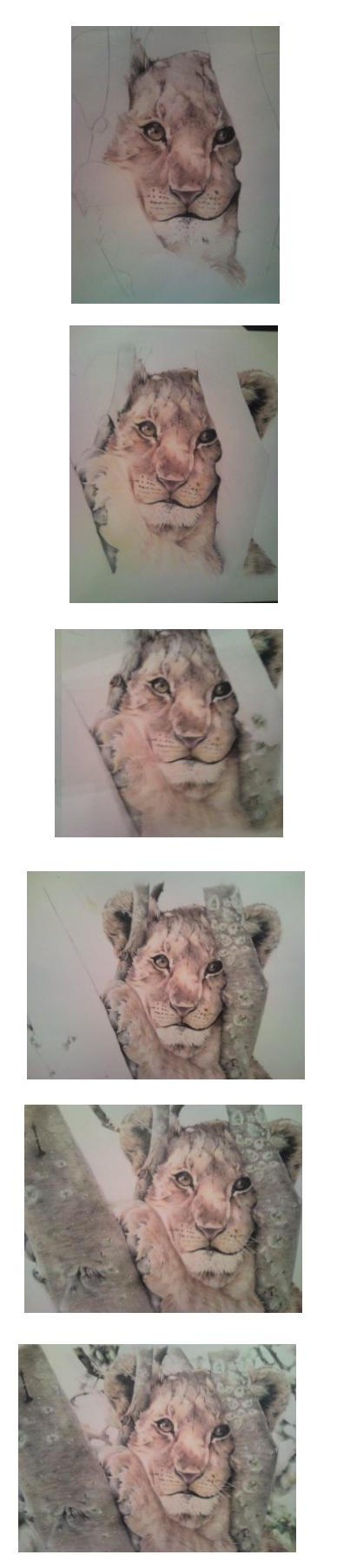 Lion Cub progress