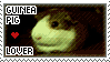 Guinea Pig Lover :Stamp: by LauNachtyr