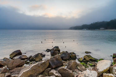 Misty Evening on the Shore