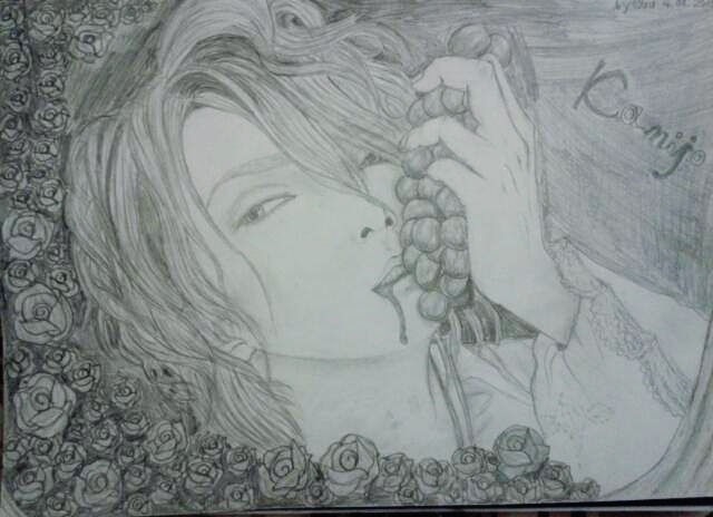 KAMIJO portrait