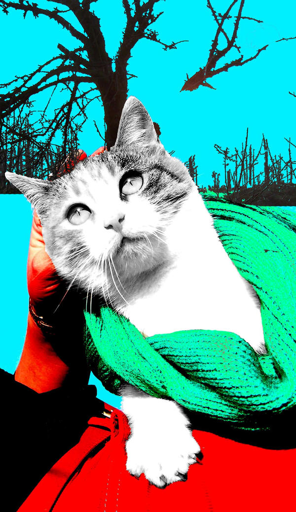 The Cat by bedriska on DeviantArt