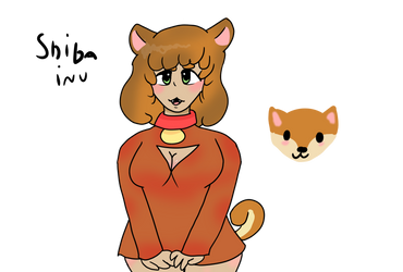 Shiba Inu As  A Human