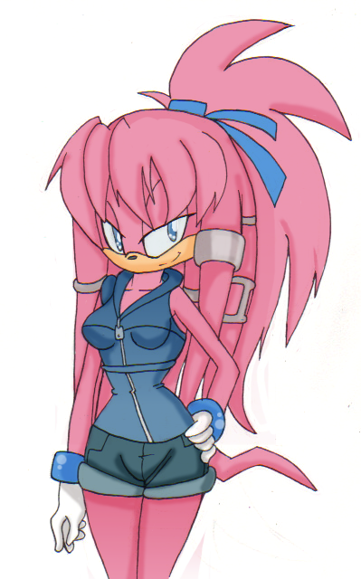 Julie-Su *Sonic Riders* by Julie-su15 on DeviantArt