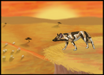 African Wild Dog Hunt by Kenisya