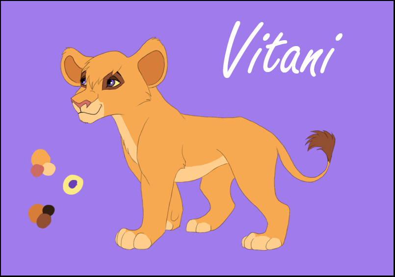 Vitani Color Ref